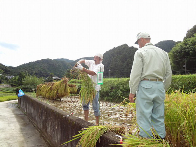 地域密着の安心サポート